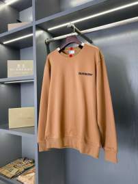 Picture of Burberry Sweatshirt _SKUBurberryS-2XLaztx872730980